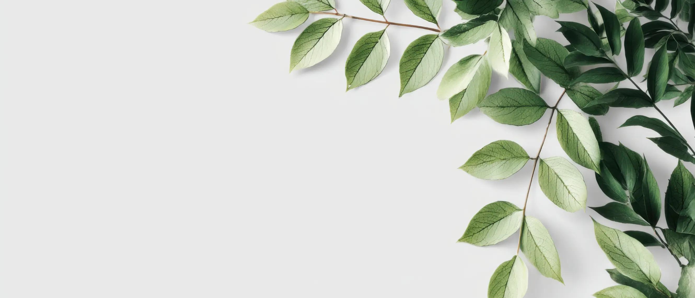 I miei valori - Studio Yoga Torino