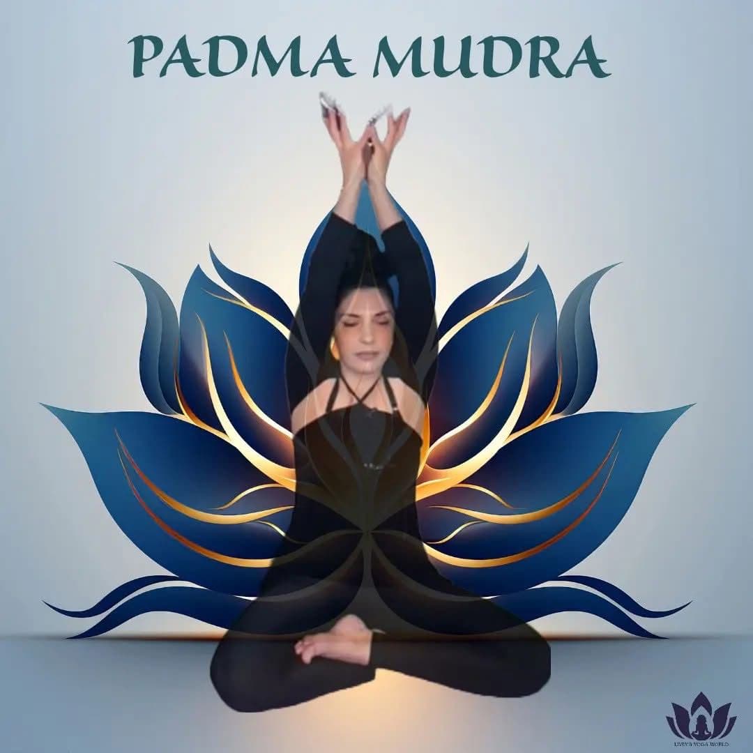 Padma Mudra | Apri il Cuore